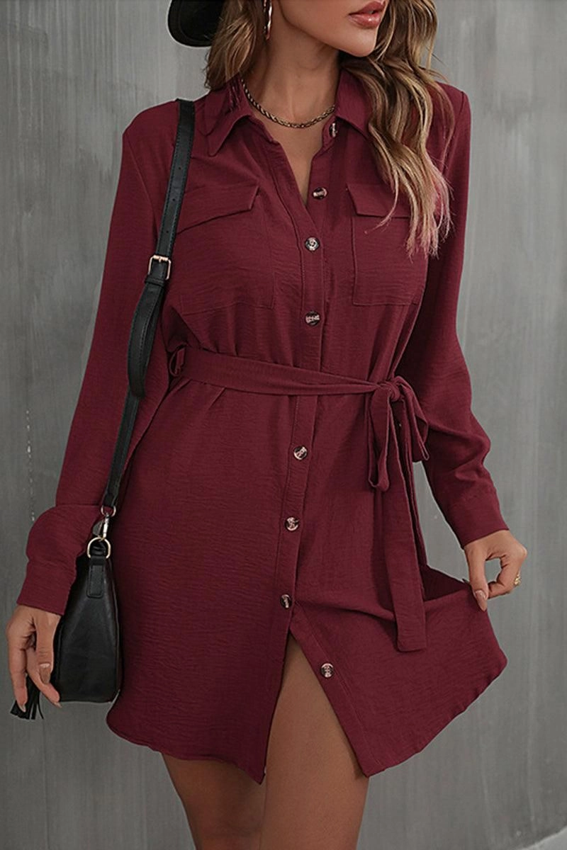 Flattering Silhouette Wear BUTTON DOWN DANDY SHIRTS DRESS