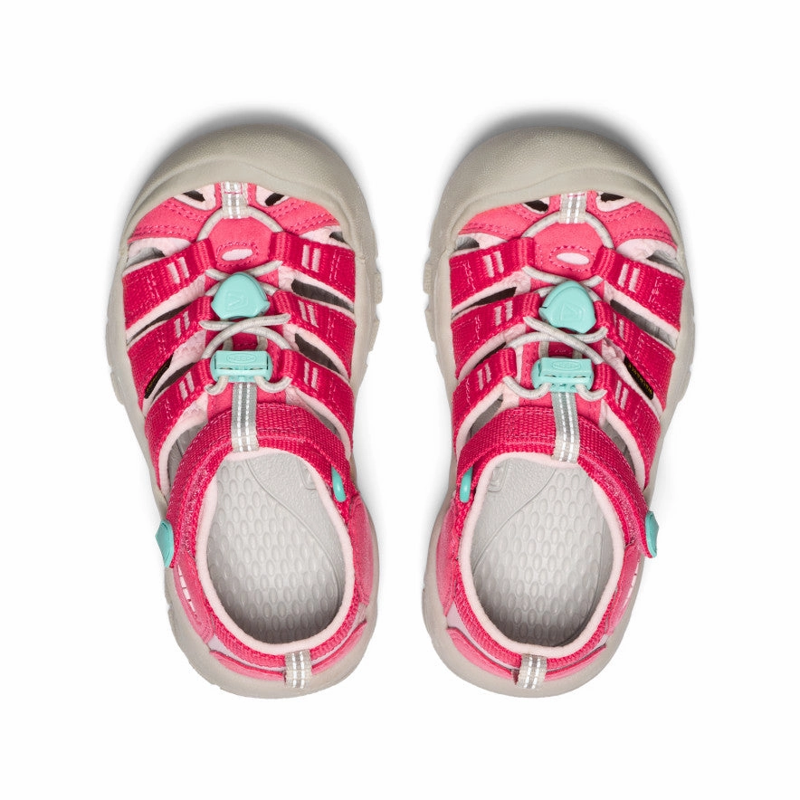 Little Kids' Newport H2  |  Raspberry/Giggle Pink Perfect Walking foam