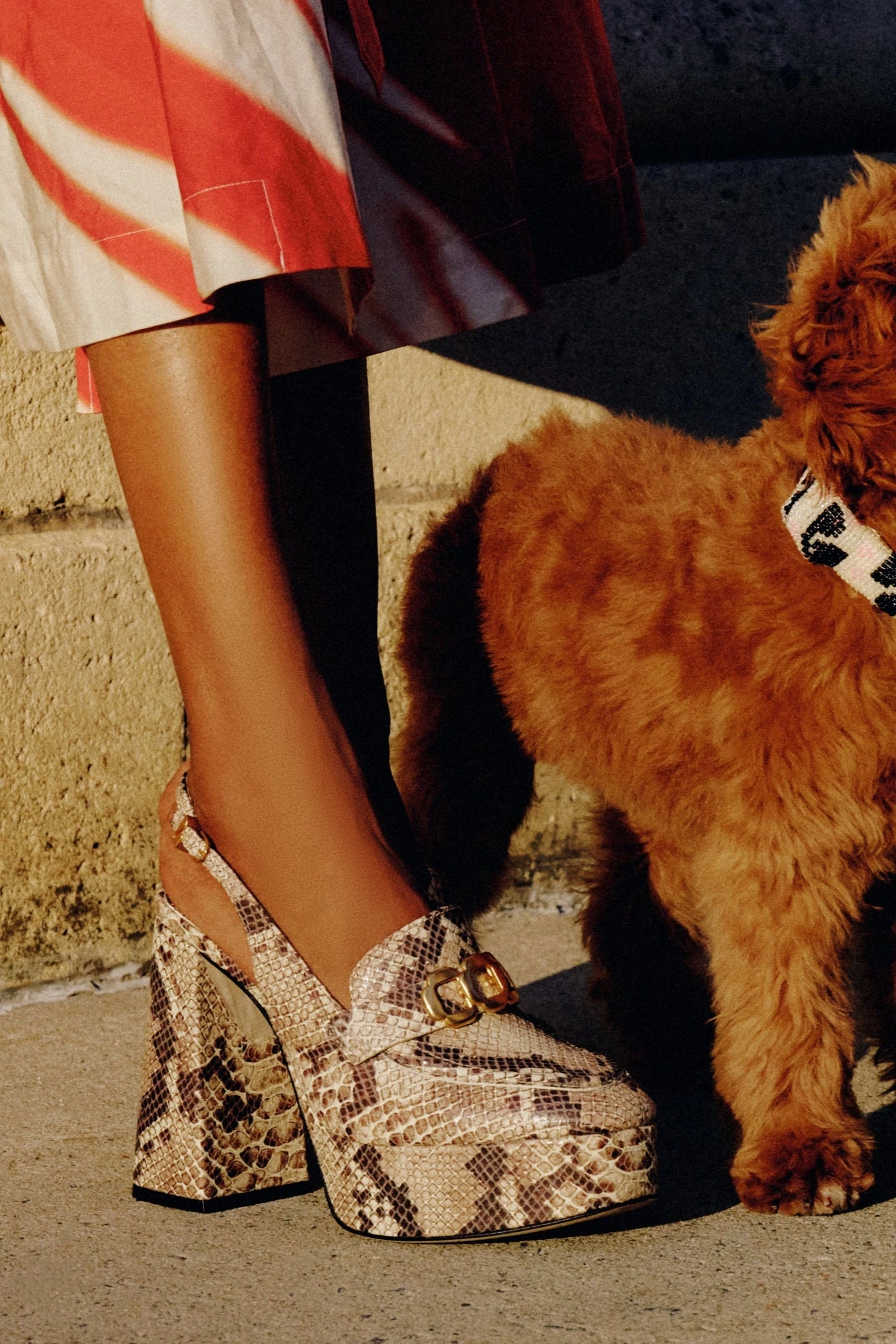 Harrington Loafer Hi In Neutral Snake Stamped Leather Stylish Event View