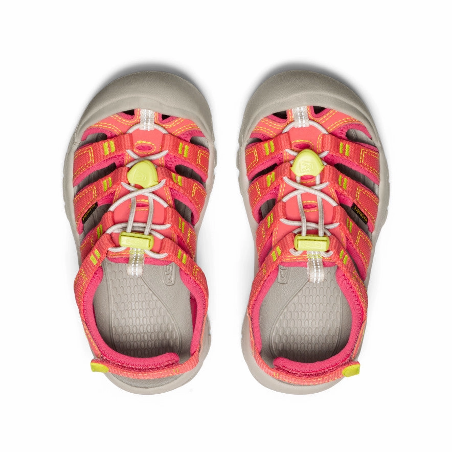 Little Kids' Newport Boundless Sandal  |  Dubarry/Evening Primrose Sponge Padding