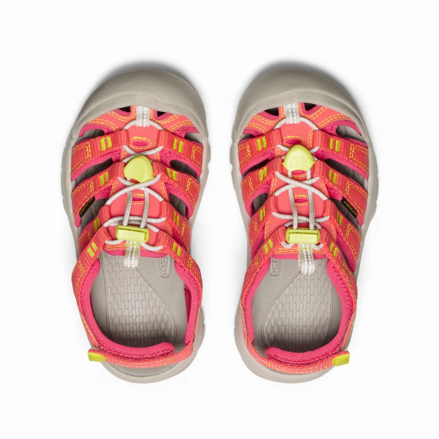 Travel Light Little Kids' Newport Boundless Sandal  |  Dubarry/Evening Primrose