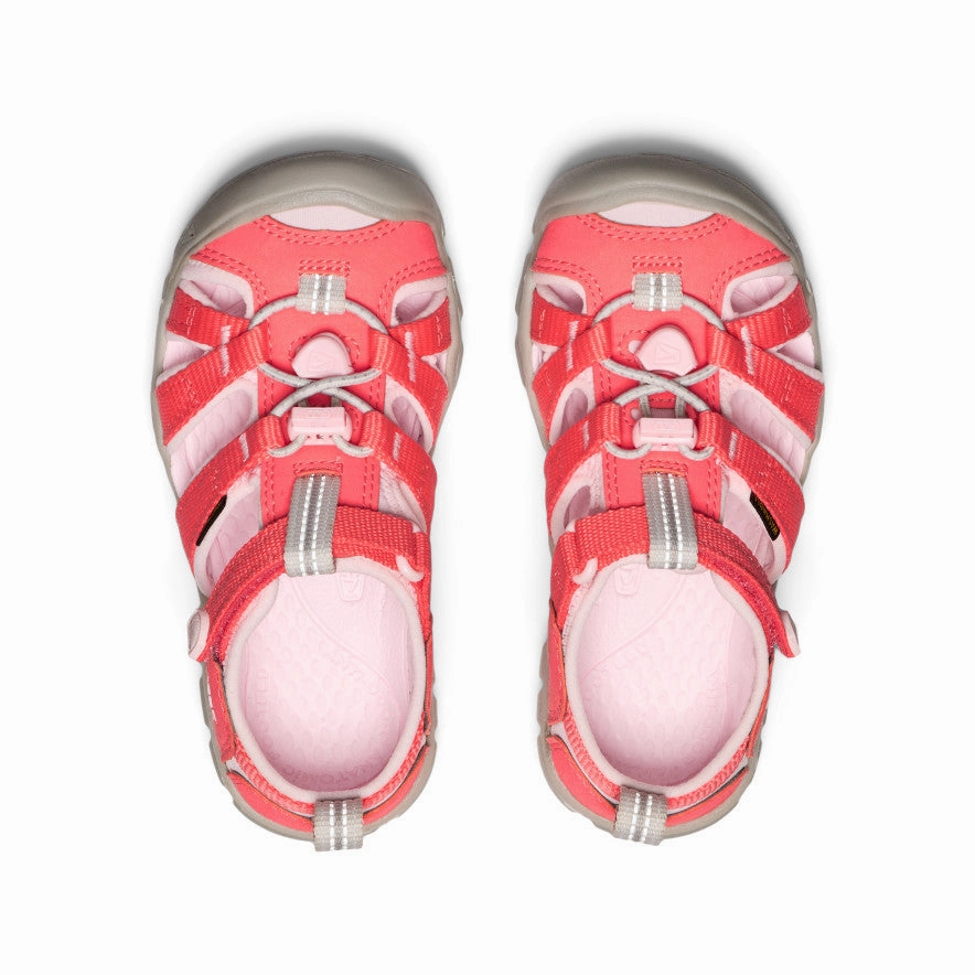 Flexible Walking Dressy Style Little Kids' Seacamp II CNX  |  Dubarry/Giggle Pink