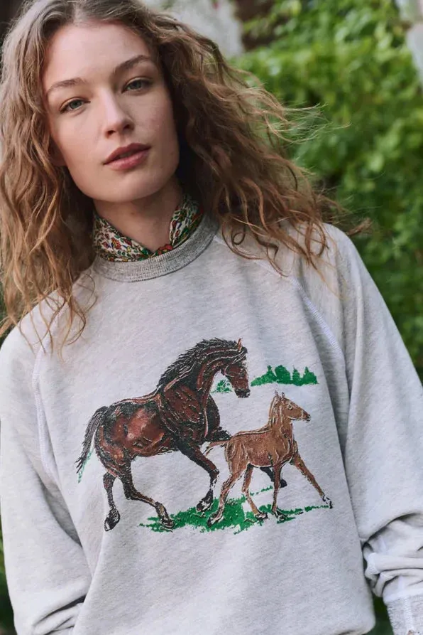 The College Sweatshirt Double Layered Collars