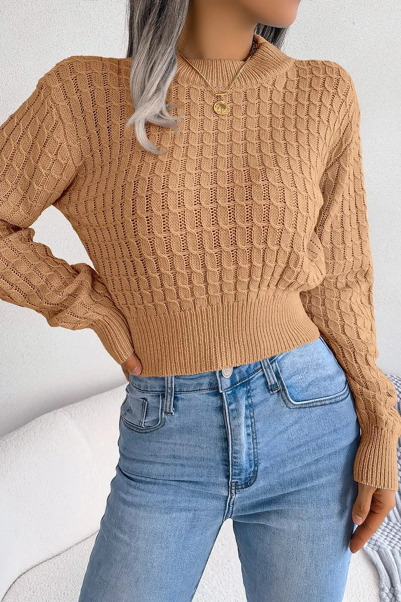 Hypoallergenic Fiber TWIST CHUNKY CABLE KNIT RIBBED CROP SWEATSHIRT