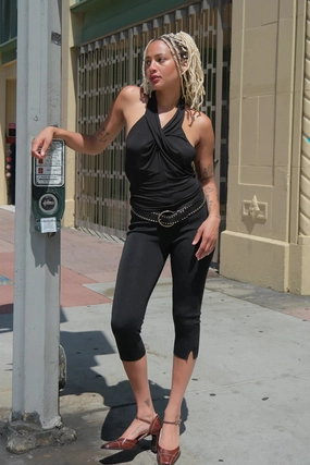 Webster Top TaglessCollars AntiOdorTreatment