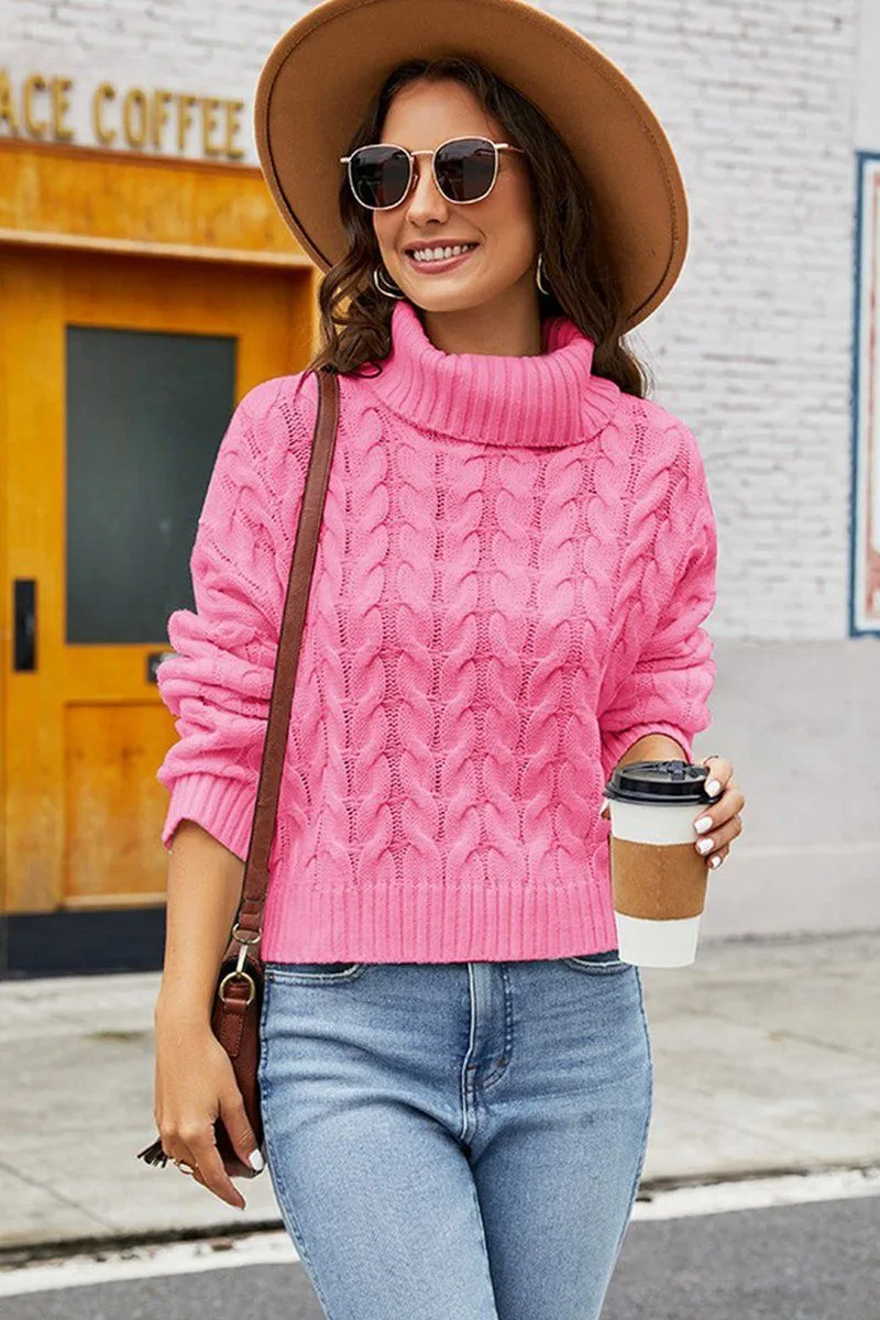 Casual Pullover WOMEN TWIST CHUNKY CABLE KNIT TURTLE NECK SWEATER